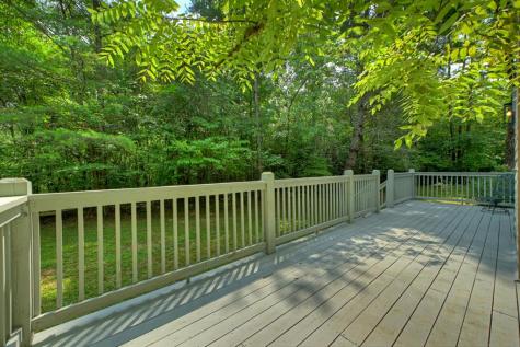 6162 Hardscrabble Road Mineral Bluff GA 30560