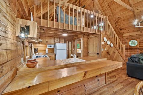 6162 Hardscrabble Road Mineral Bluff GA 30560