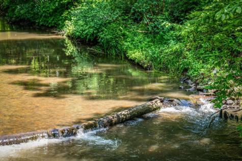 2977 Highway 2 Blue Ridge GA 30513