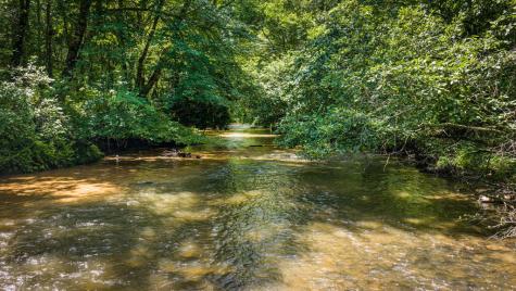 2977 Highway 2 Blue Ridge GA 30513