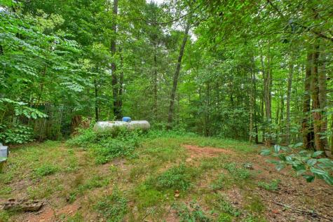 137 Welch Lane Copperhill TN 37317