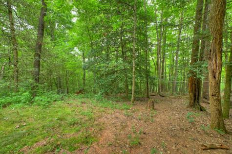 137 Welch Lane Copperhill TN 37317