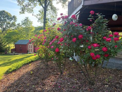 157 Sims Road Hiawassee GA 30546