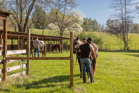853 Caler Road Brasstown NC 28902