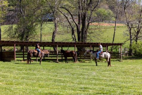 853 Caler Road Brasstown NC 28902