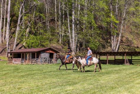 853 Caler Road Brasstown NC 28902