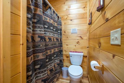 196 Wildwind Lane Blairsville GA 30512