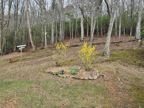 1393 Bluff Road Marble NC 28905