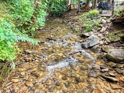 216 Bear Bend Blairsville GA 28906