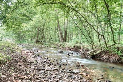 216 Bear Bend Blairsville GA 28906