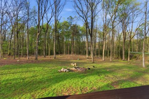 1843 Old Mobile Road Mccaysville GA 30555