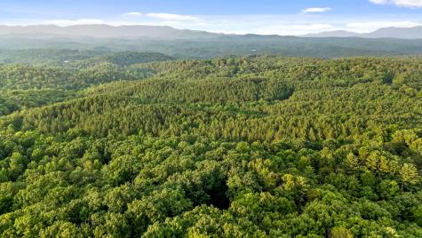 261 Pine Mountain Drive Ellijay GA 30540