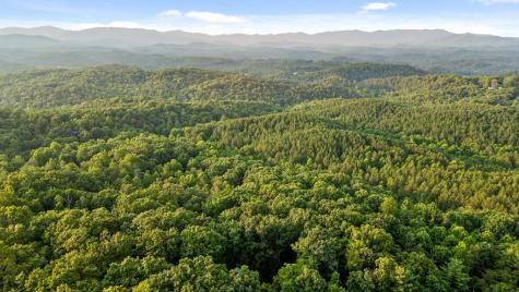 261 Pine Mountain Drive Ellijay GA 30540