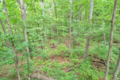 36 Morgan Baenninger Road Blairsville GA 30512