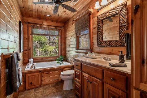 170 Lakota Trail Blue Ridge GA 30513