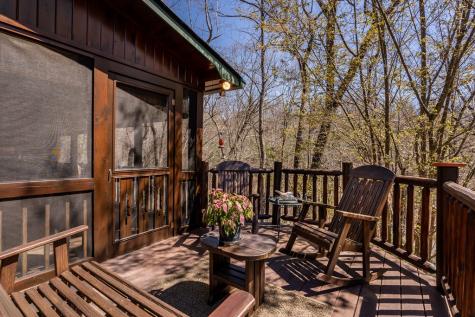 170 Lakota Trail Blue Ridge GA 30513