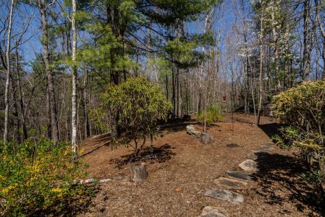 170 Lakota Trail Blue Ridge GA 30513
