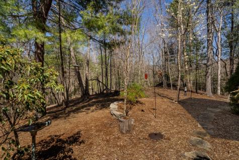 170 Lakota Trail Blue Ridge GA 30513