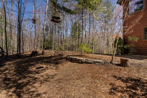 170 Lakota Trail Blue Ridge GA 30513