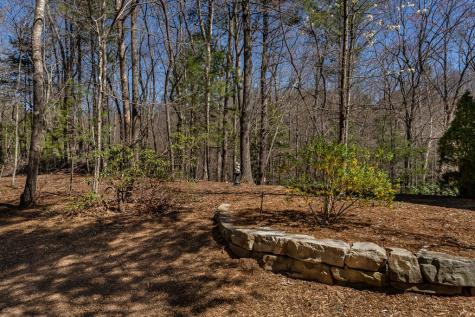 170 Lakota Trail Blue Ridge GA 30513