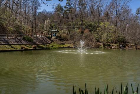 170 Lakota Trail Blue Ridge GA 30513