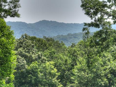 558 Tipton Springs Road Morganton GA 30560
