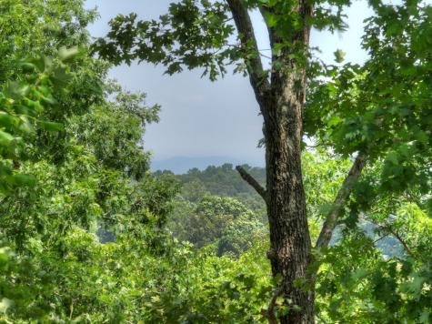 558 Tipton Springs Road Morganton GA 30560