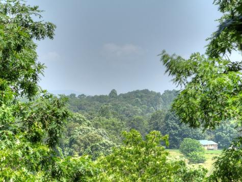 558 Tipton Springs Road Morganton GA 30560
