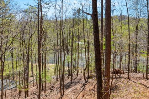 65 Dawn Lane Ellijay GA 30540