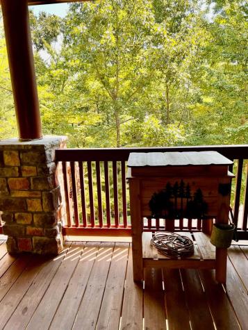 381 Laurel Ridge Lane East Ellijay GA 30536