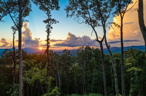 91 Kittatinny Drive Mineral Bluff GA 30559
