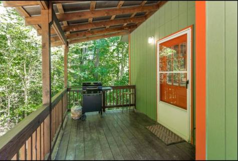 27 Tillman Terrace Ellijay GA 30536