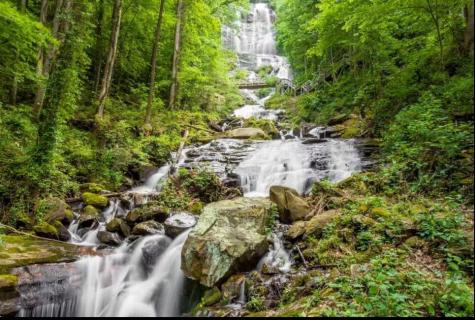 27 Tillman Terrace Ellijay GA 30536
