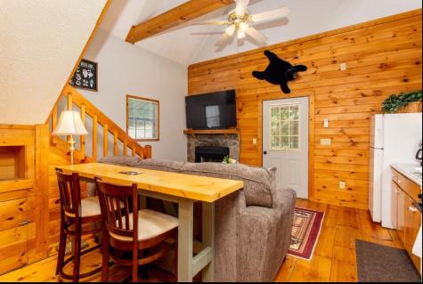27 Tillman Terrace Ellijay GA 30536