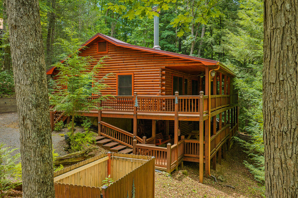 1480 Hidden Lake Drive Cherry Log GA 30522