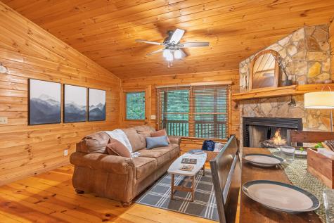 1480 Hidden Lake Drive Cherry Log GA 30522
