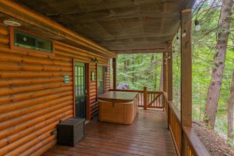 1480 Hidden Lake Drive Cherry Log GA 30522