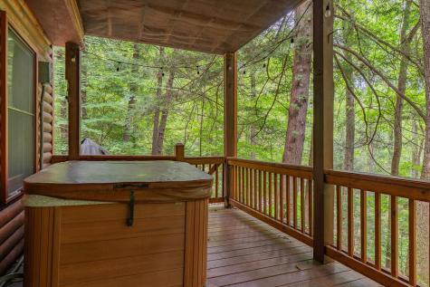 1480 Hidden Lake Drive Cherry Log GA 30522