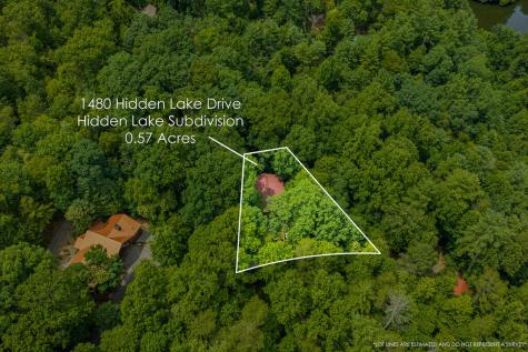 1480 Hidden Lake Drive Cherry Log GA 30522