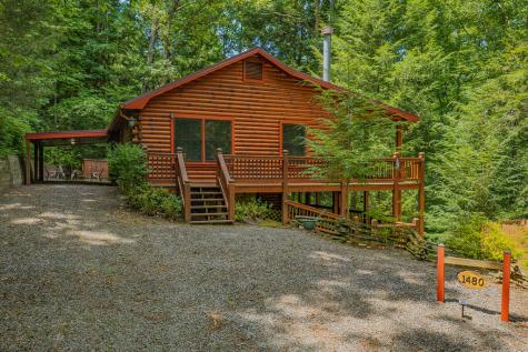 1480 Hidden Lake Drive Cherry Log GA 30522