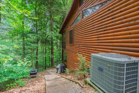 1480 Hidden Lake Drive Cherry Log GA 30522