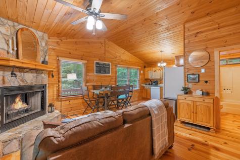 1480 Hidden Lake Drive Cherry Log GA 30522