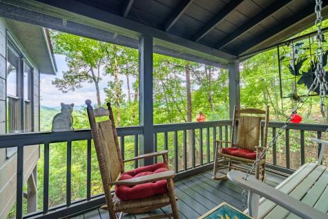 600 Cohutta Mountain Road Blue Ridge GA 30513