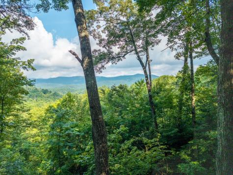600 Cohutta Mountain Road Blue Ridge GA 30513