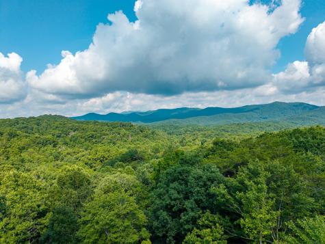 600 Cohutta Mountain Road Blue Ridge GA 30513