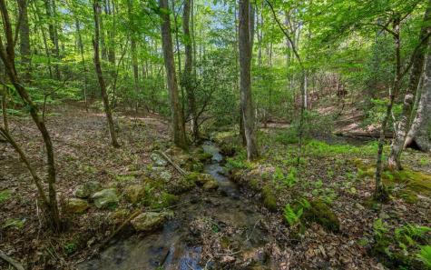 250 Crow Top Mountain Blue Ridge GA 30513