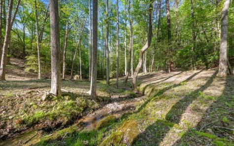 250 Crow Top Mountain Blue Ridge GA 30513