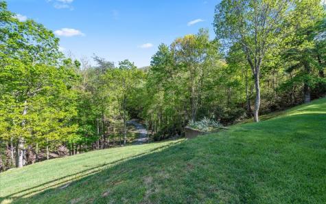 250 Crow Top Mountain Blue Ridge GA 30513
