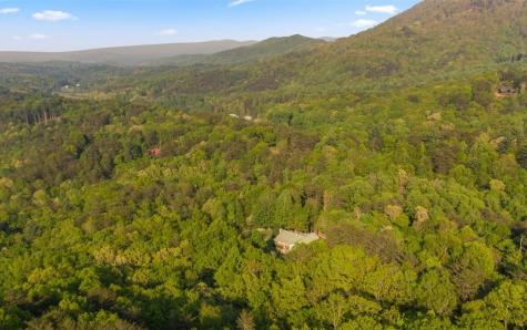 250 Crow Top Mountain Blue Ridge GA 30513