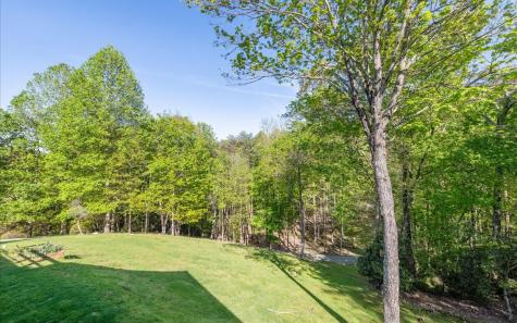 250 Crow Top Mountain Blue Ridge GA 30513